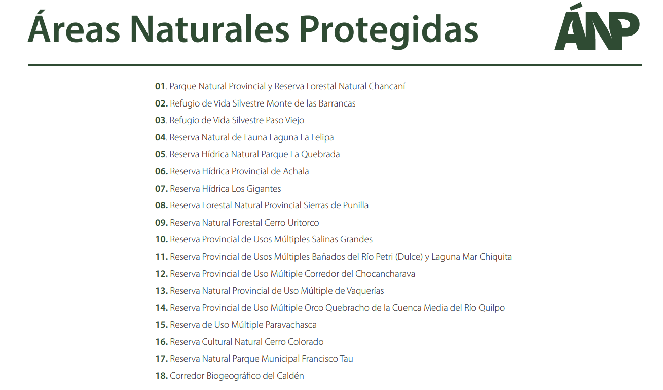 00 escudo La Felipa 03