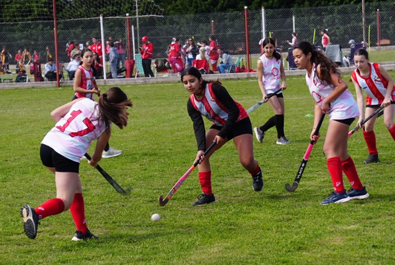 00 hockey N 01