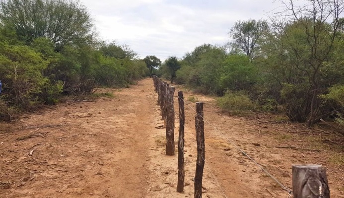 1a manejo fuego 02