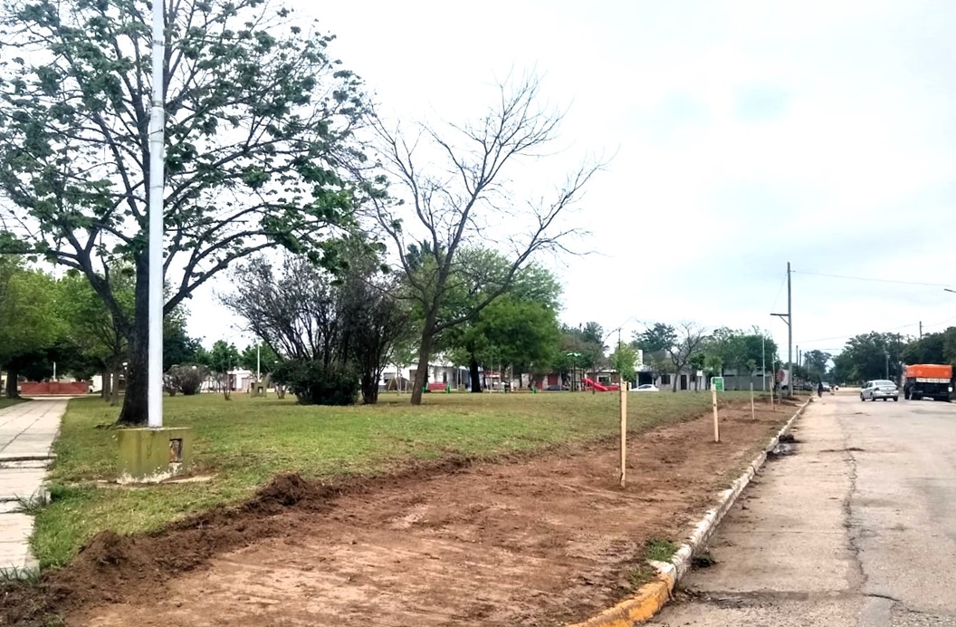25mayo forest 01