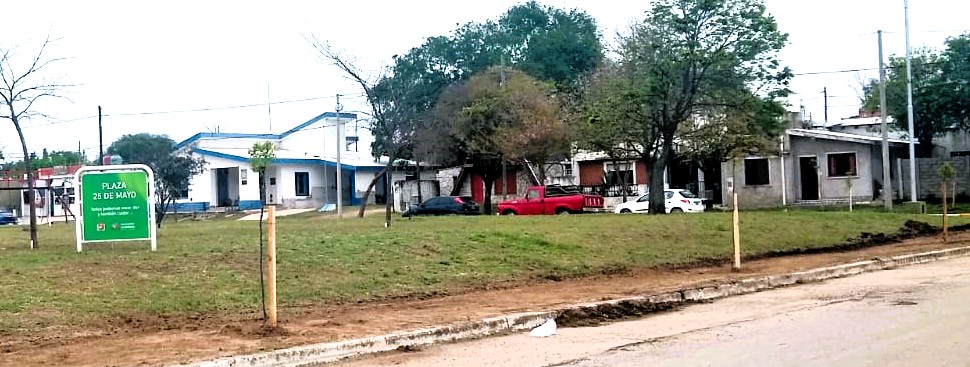 25mayo forest 05