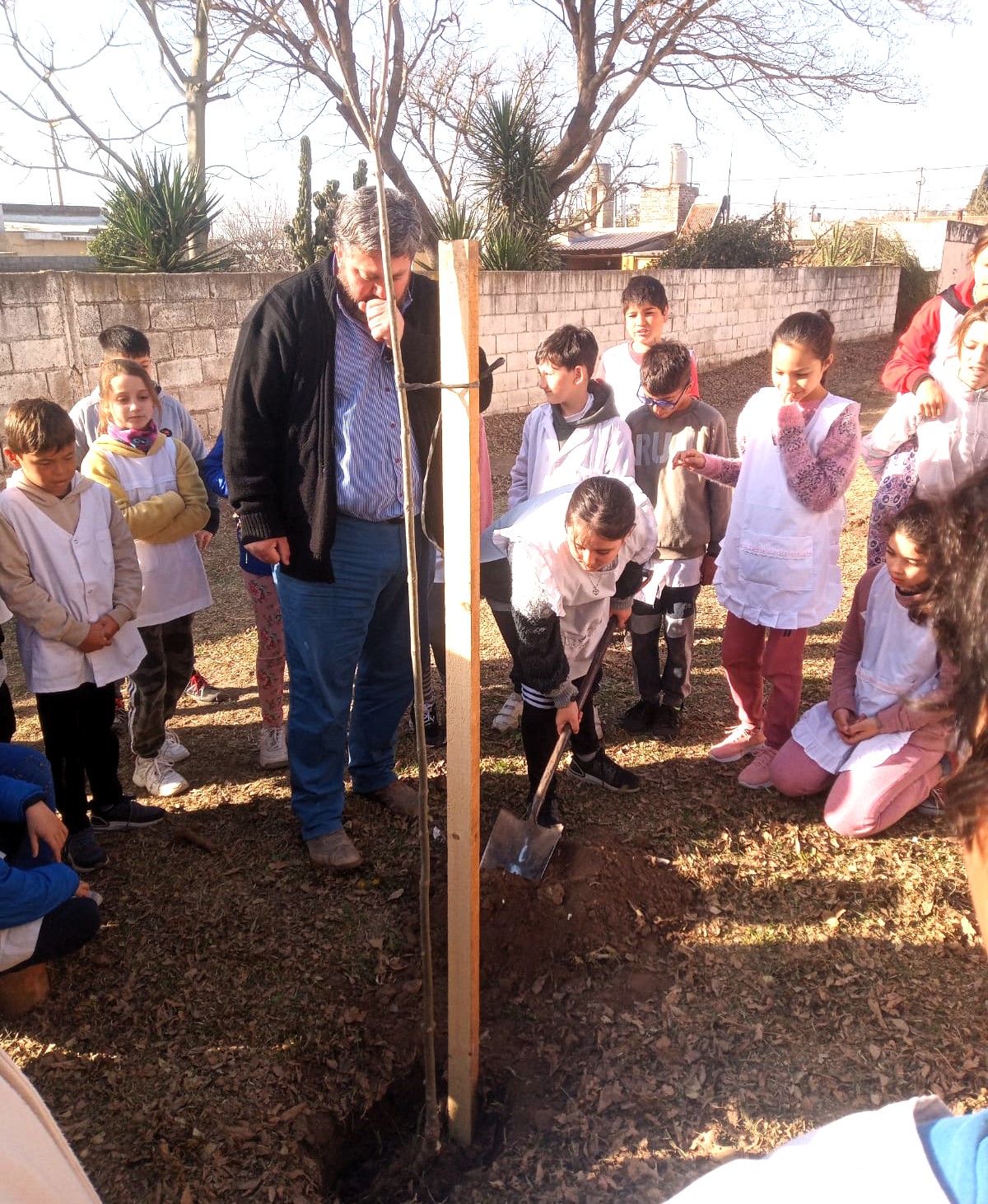 arbol alberdi 00