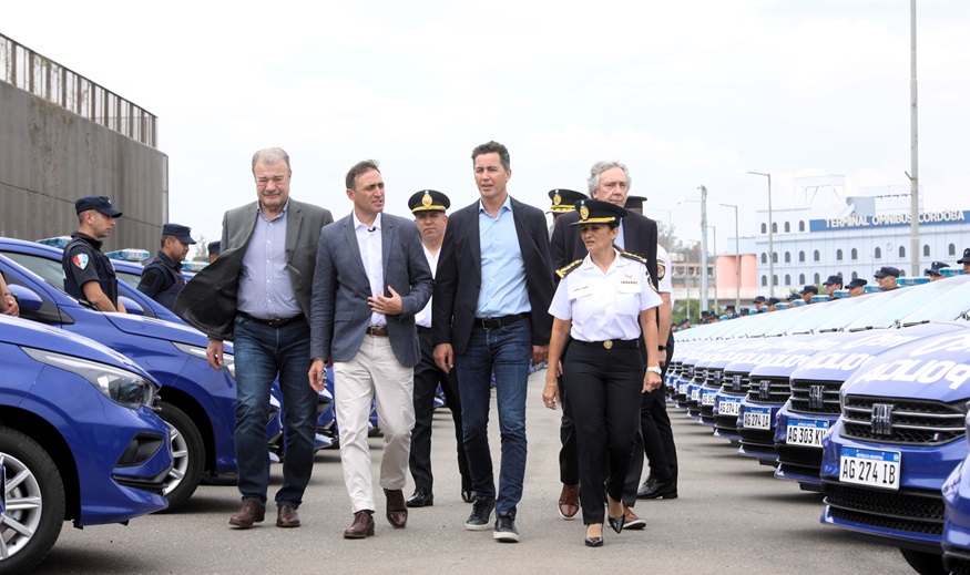 auto poli 3