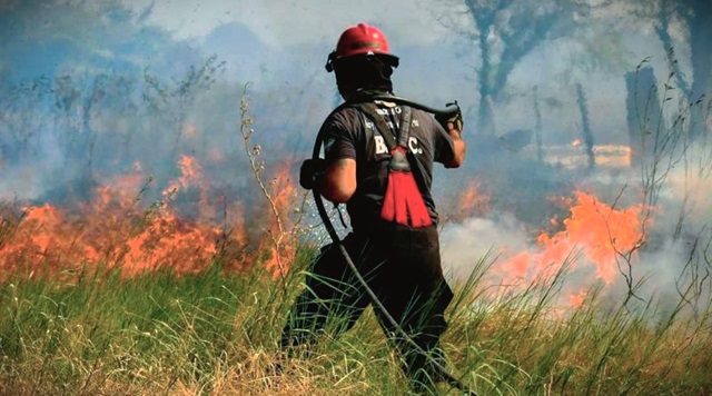 bombero fuego