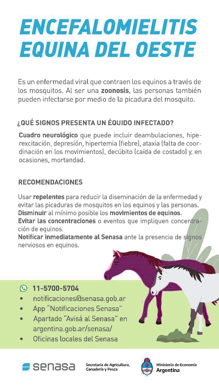 encefalomielitis equina 1