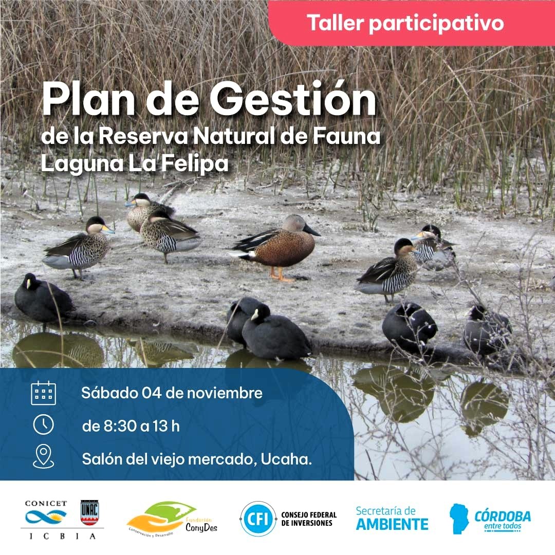 plan gestion dos