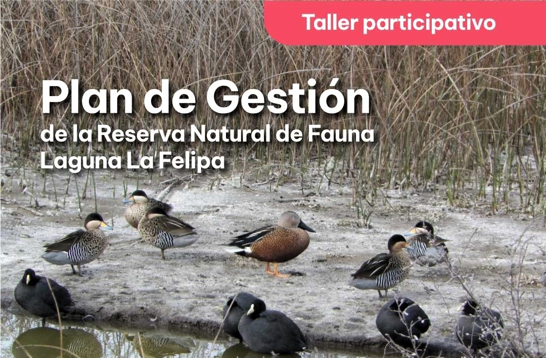 plan gestion tres