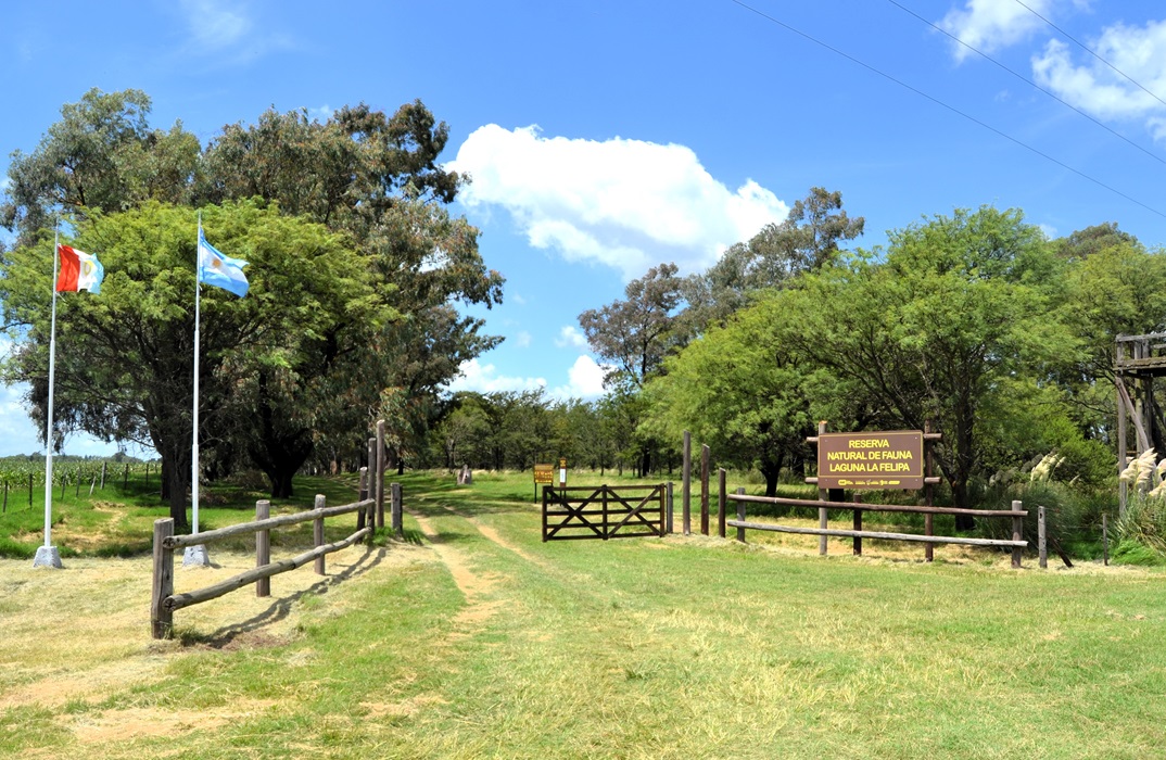 reserva24 05