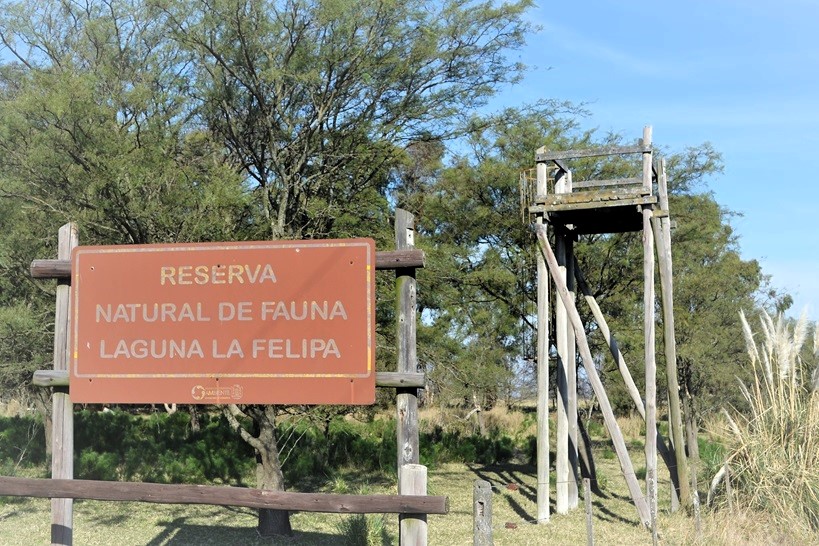 reserva la felipa 000b